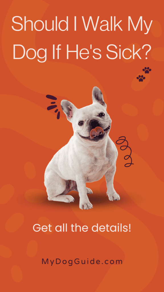 should I walk my dog if he's sick mydogguide.com