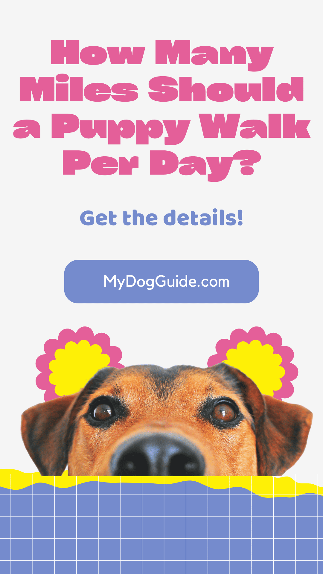 How Many Miles Should a Puppy Walk Per Day?