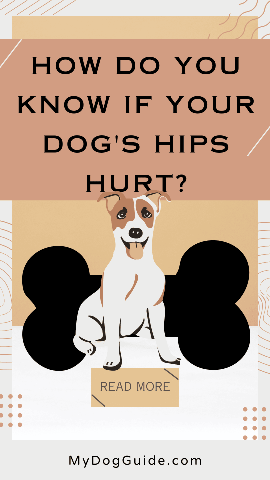 How Do You Know if Your Dog's Hips Hurt?